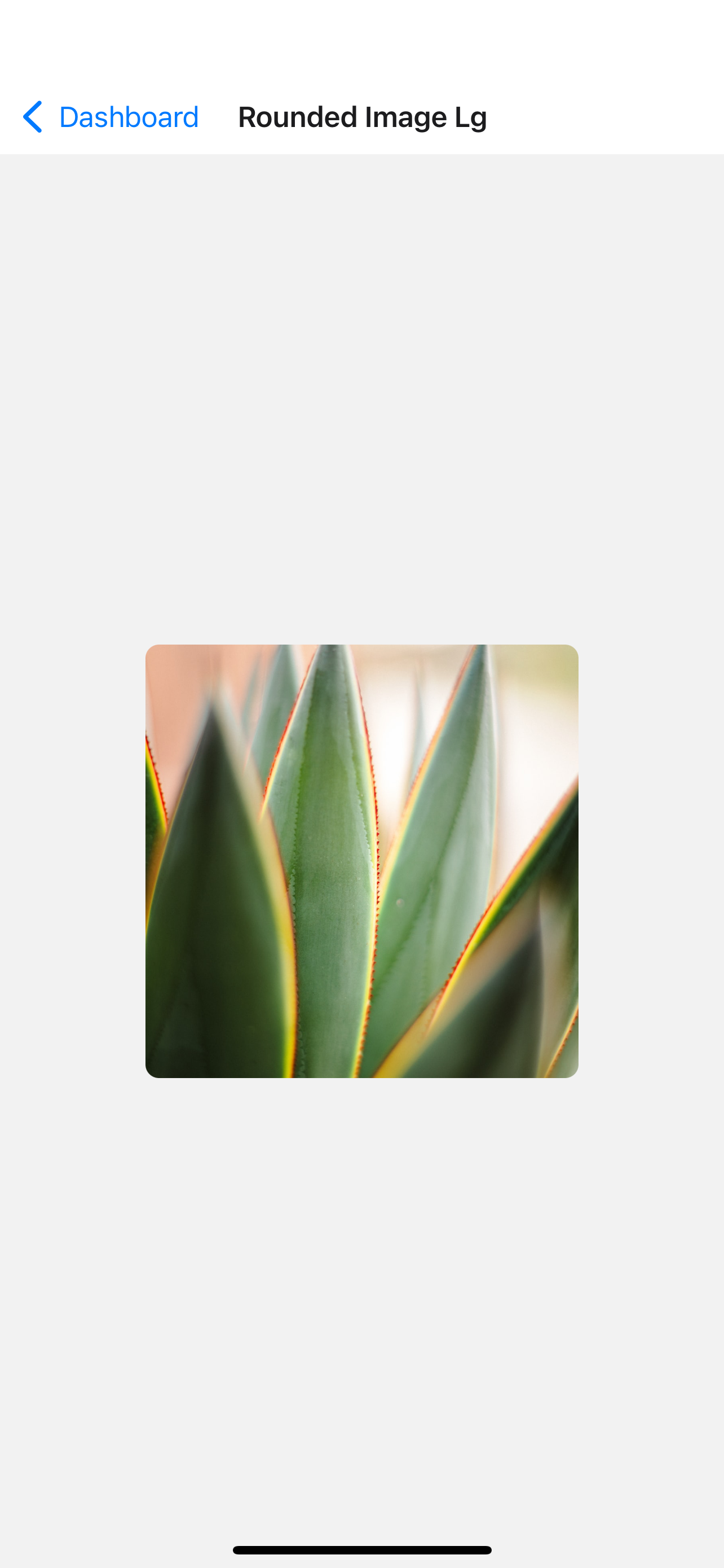 Rounded Image
