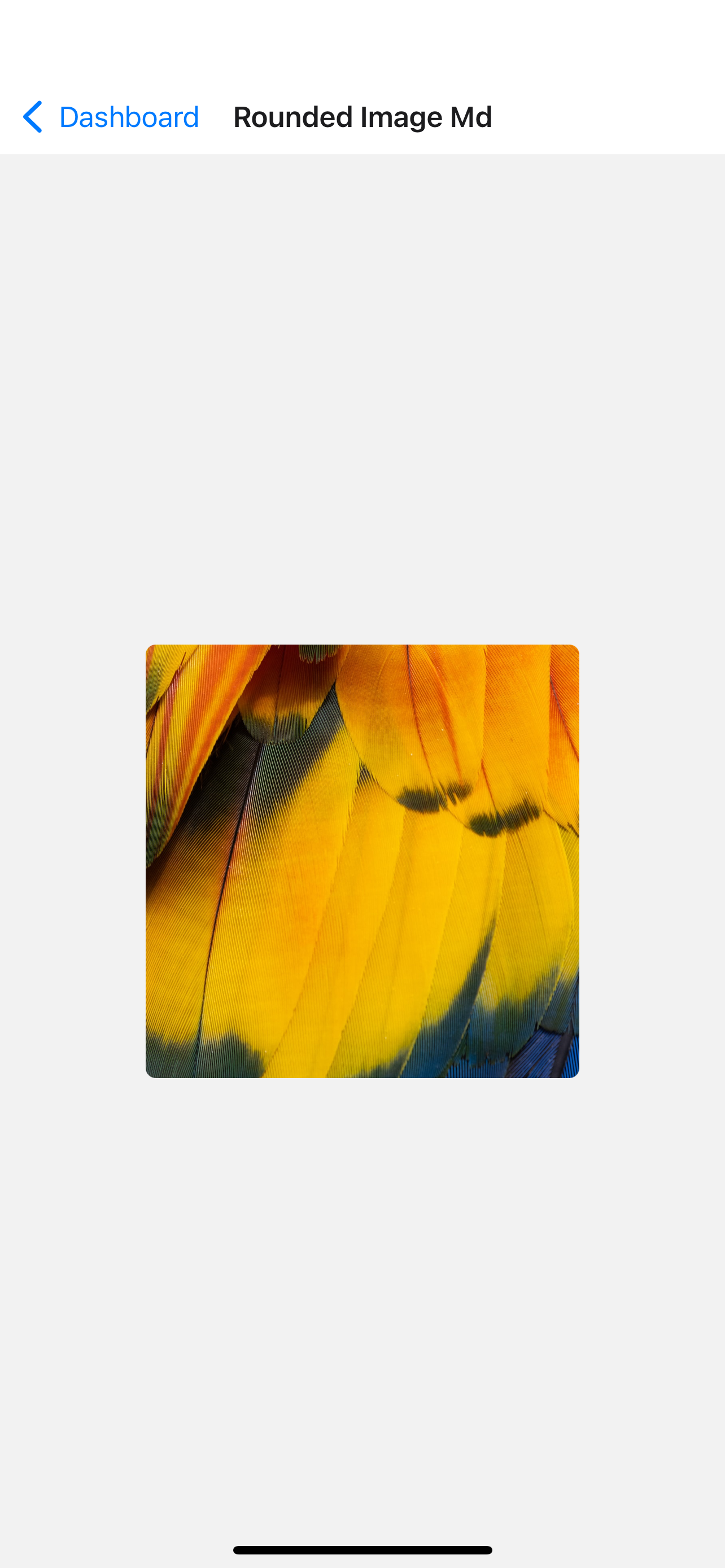 Basic login screen