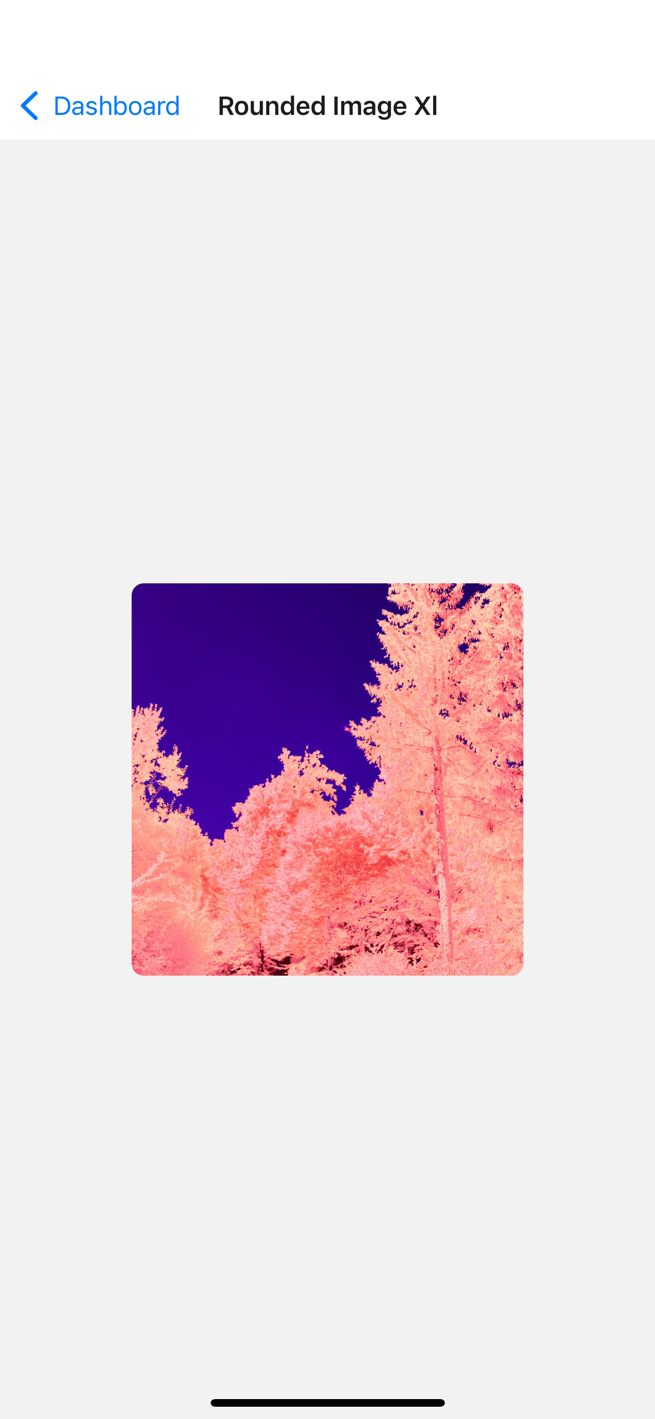 Basic login screen